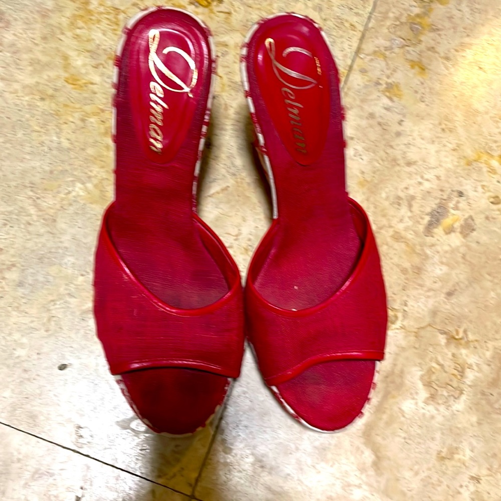 Delman shoes